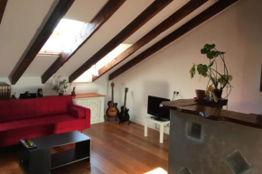 BRIGHT and Cosy 50 m in the heart of NICE